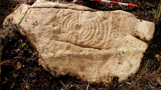 Baer Petroglyph